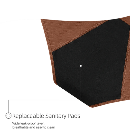 1 Piece Leakproof Underwear